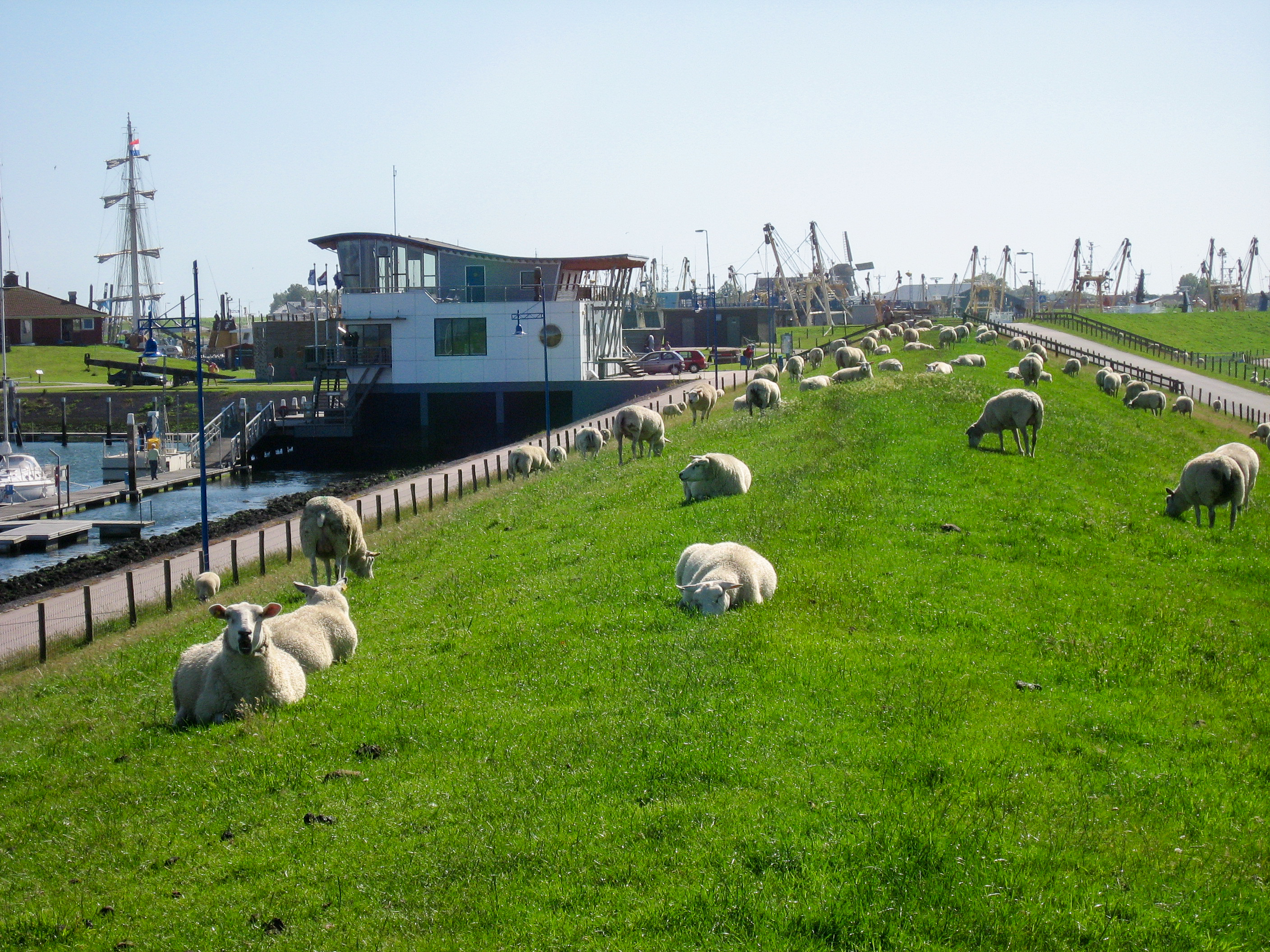 Home - Waddenhaven Texel 