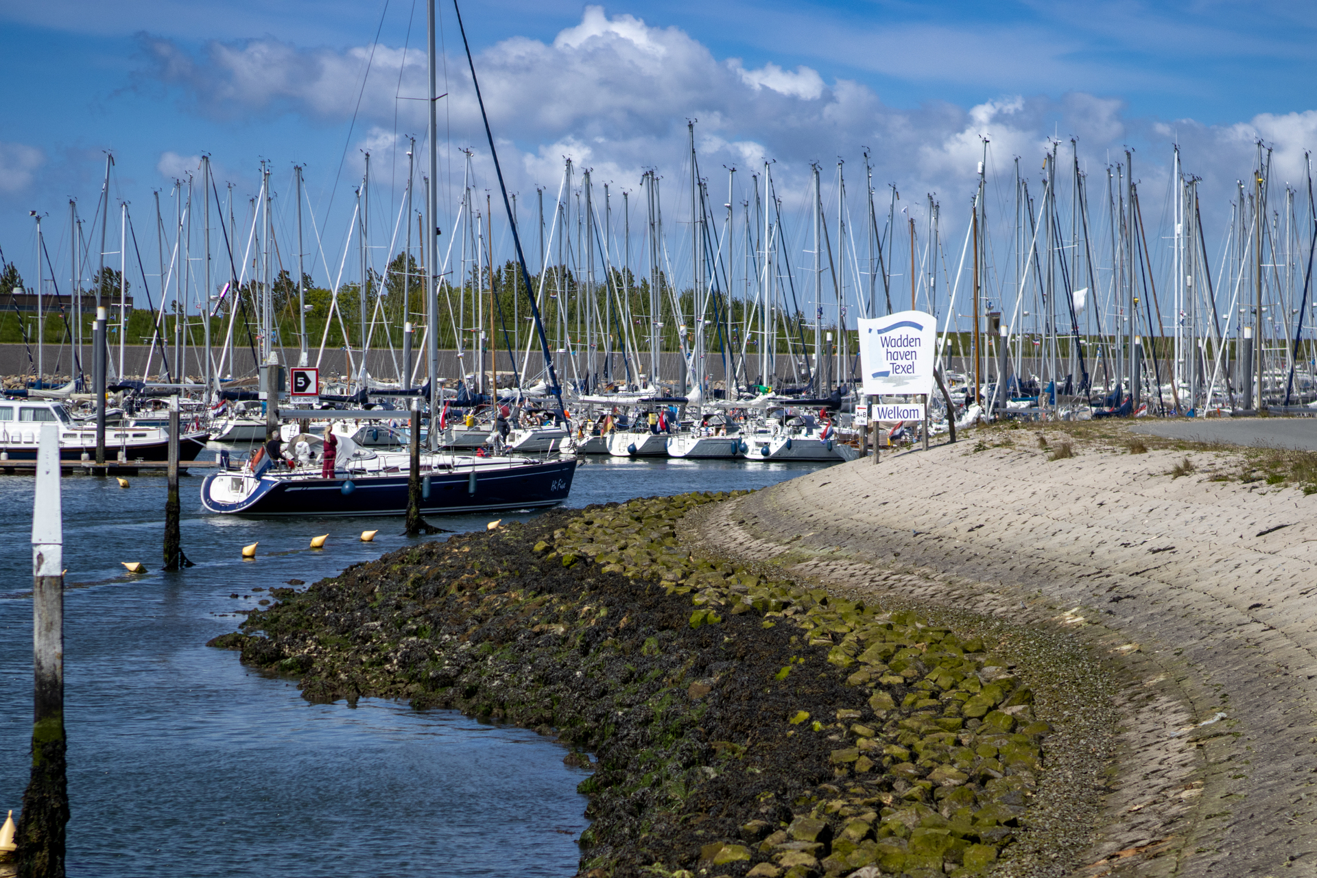 Home - Waddenhaven Texel 